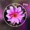 Photo Blur Editor is a fantastic tool to help you create the most fabulous photo