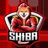 Shiba Runner
