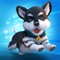 My Puppy Dog: Animal Runner 3D