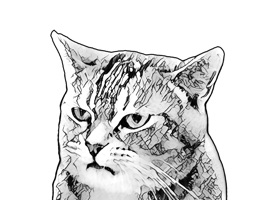 Make your conversations full of fun with Gorma the Cat and his friends