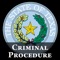 TX Code of Criminal Proc 2022