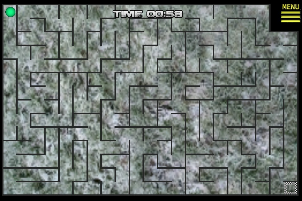 Labyrinth Hard screenshot 2