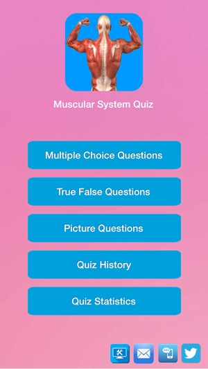 Human Muscular System Quiz