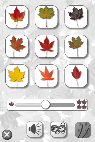 Leaves screenshot 3