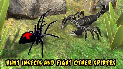 How to cancel & delete Black Widow Insect Spider Life Simulator from iphone & ipad 2