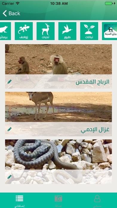 براري المدينة screenshot 4