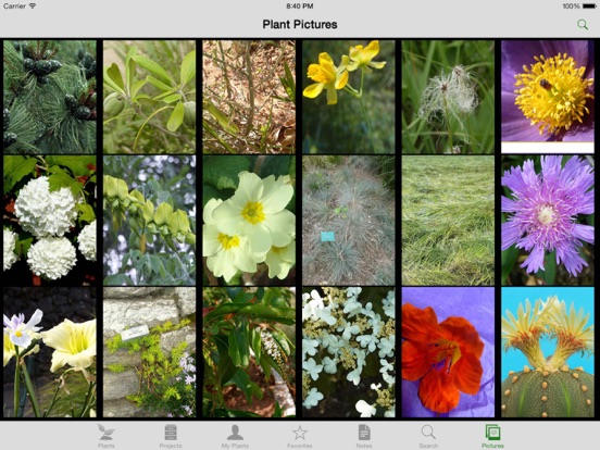 Screenshot #5 pour Landscaper's Companion for iPad