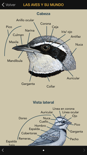 Aves argentinas(圖3)-速報App