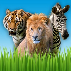 Activities of Zoo Sounds - Fun Educational Games for Kids