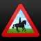 HorseRiderSOS designed to make hacking and handling horses safer, when working alone, was the idea of specialist trainer of young and problem horses Michael Peace