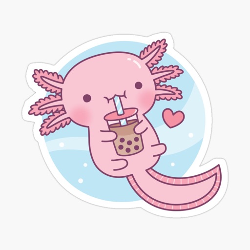 Axolotl Planet | Axolotls for Sale, Learn About Axolotls, and More!