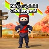 Ninja Spinki 3D - Endless Run Challenge