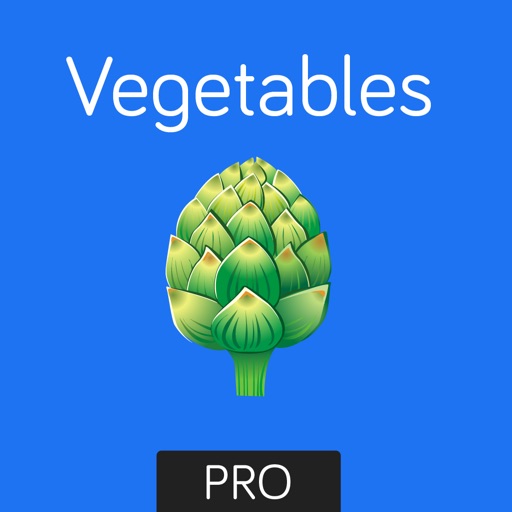 Vegetables Flashcard for babies and preschool Pro