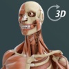 Visual Anatomy 3D Human Body PRO