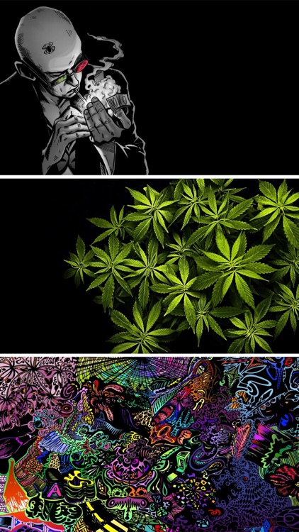 Say No to Drugs Wallpapers - Stop Taking Drugs screenshot-3