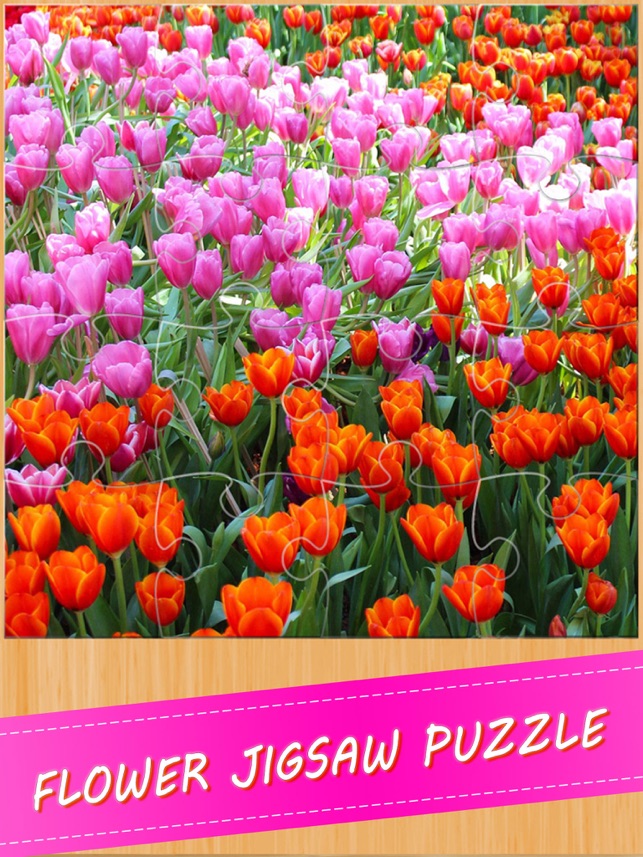 Valentine Flower Jigsaw Puzzle For Adults di App Store