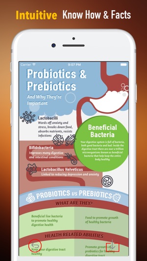 Probiotic Diet Protocol-Belly Fat and Gut Health(圖1)-速報App