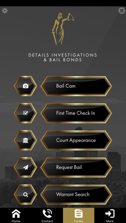 Details Investigations and Bail Bonds