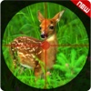 Forest Safari Deer Hunting pro