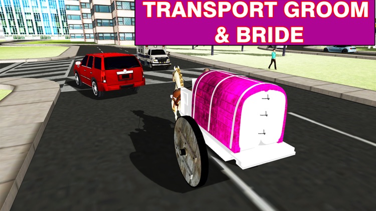 Wedding Horse Carriage & City Bridal Driving