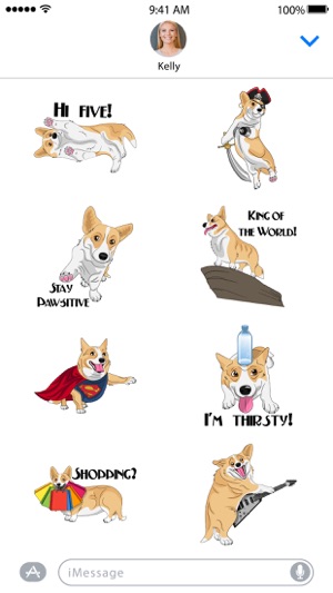 Corgi Style(圖4)-速報App