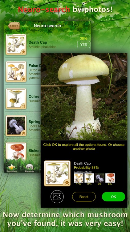 Mushrooms: Great Encyclopedia of Fungi screenshot-0