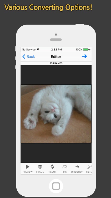 GIF Toaster - Photos, Burst, Video to GIF Maker