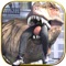 Dinosaur sim is action, casual adventure game, where you play as a crazy, angry, frenzy and stupid prehistoric dino in city