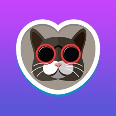 Activities of Purrfect Pairs - Matching Kitty Game