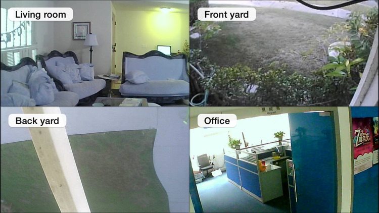 IP Cam Soft Pro