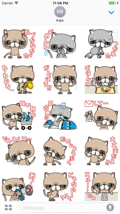 Browny Sad Cat Japanese Vol 2