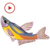Fun With Fish Animated Stickers