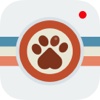 Instapet - Social Network for your Pet