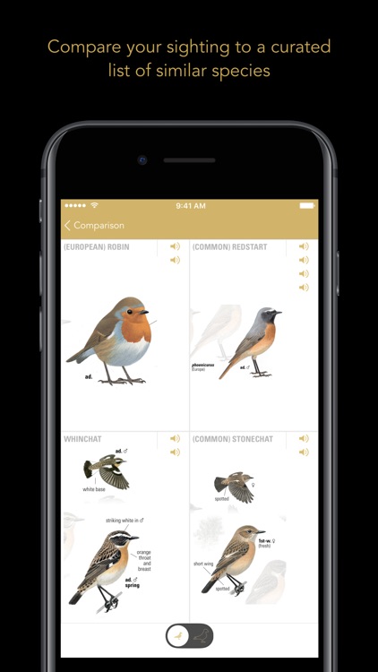 Collins British Bird Guide screenshot-4