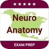 Neuroanatomy 2017 Full Edition