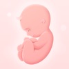 Icon My Pregnancy゜