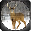 Animal Jungle Hunting Pro Game