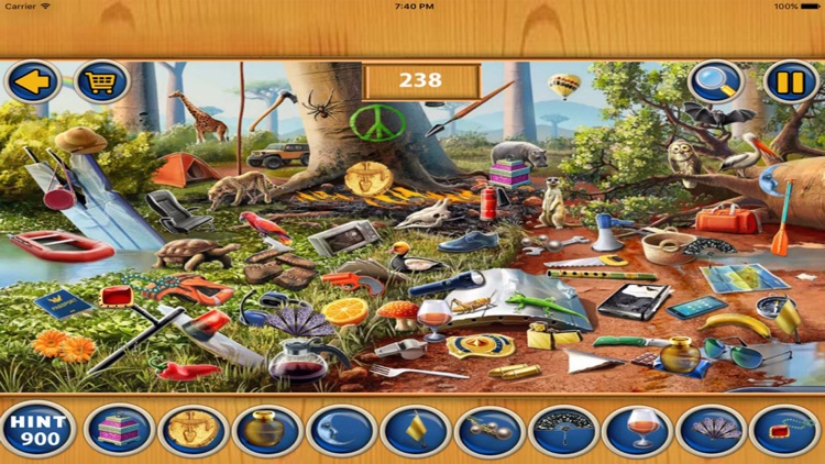 Free Hidden Objects : Leap Day