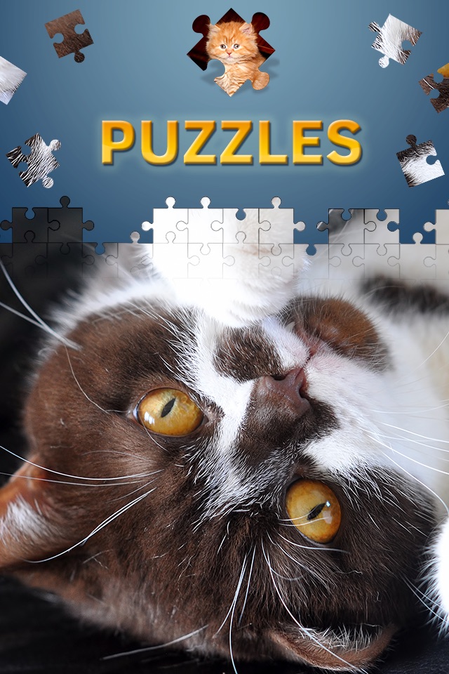 Jigsaw Puzzle Games Classic screenshot 2