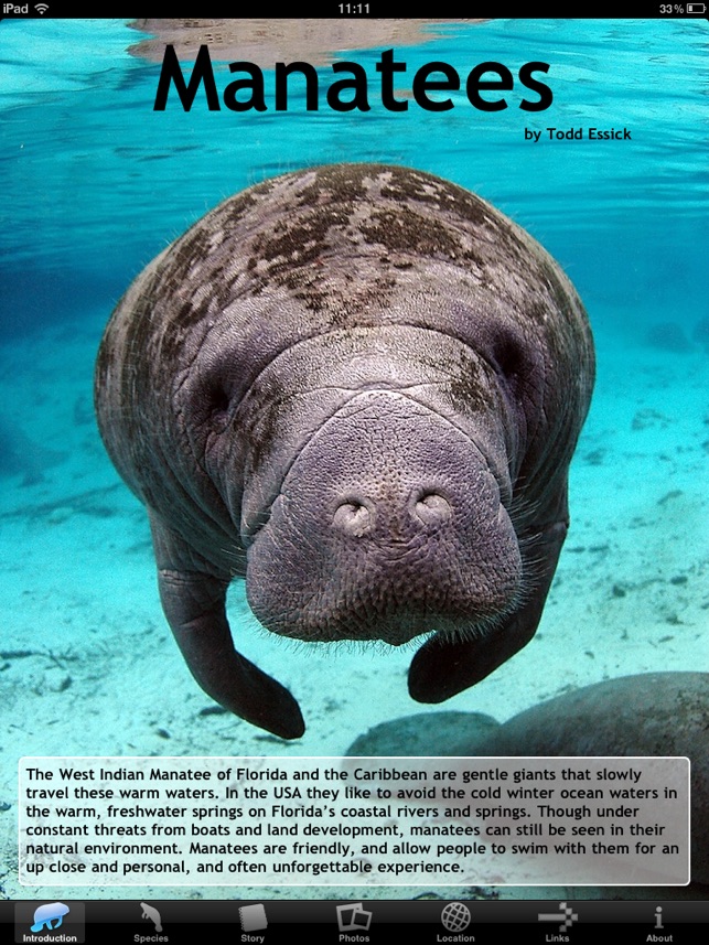 Manatees HD(圖1)-速報App