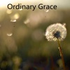 Quick Wisdom from Ordinary Grace-Key Insights