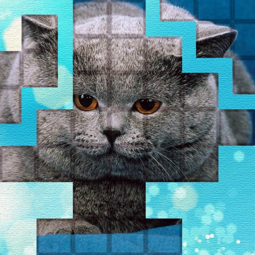 PicPu - Cat Picture Puzzle Icon
