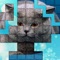 PicPu - Cat Picture Puzzle