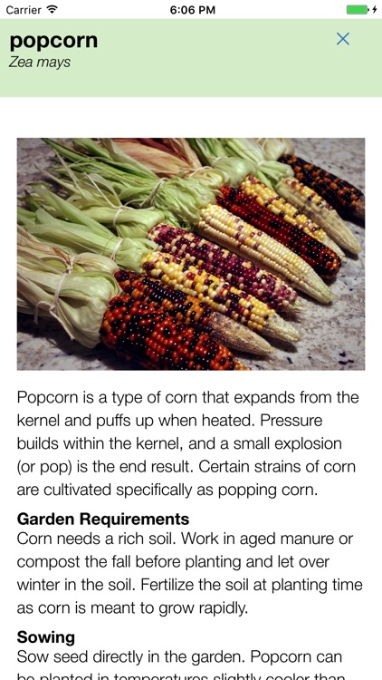 Skippy's Vegetable Planting Calendar screenshot-4