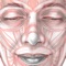 ARTNATOMYA is an interactive tool intended to facilitate the teaching and learning of the anatomical and biomechanical foundation of facial expression morphology