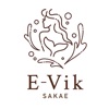E-VIK