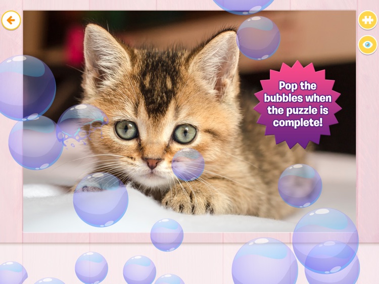 Cat & Kitten Puzzle Fun screenshot-4