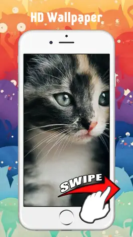 Game screenshot Cute Kitten Cat Wallpapers & Backgrounds mod apk