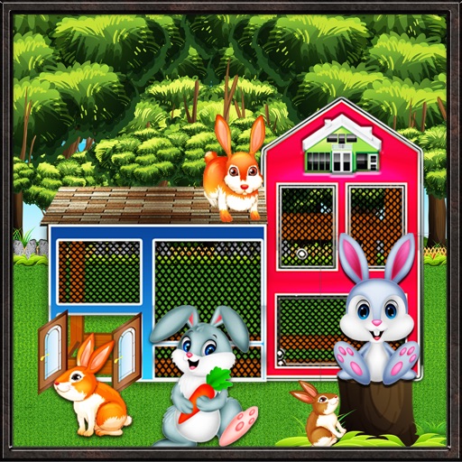 Rabbit House Builder – Pets Home Designer icon