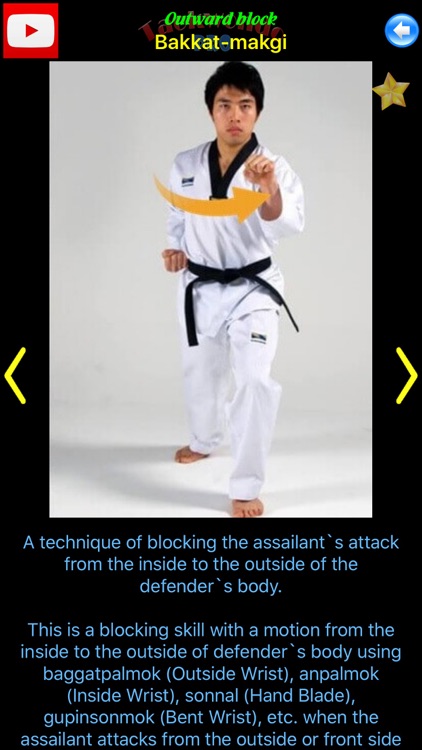 Taekwondo Pro screenshot-3